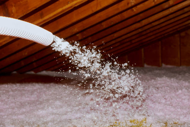 Best Energy-efficient Insulation  in Carterville, MO