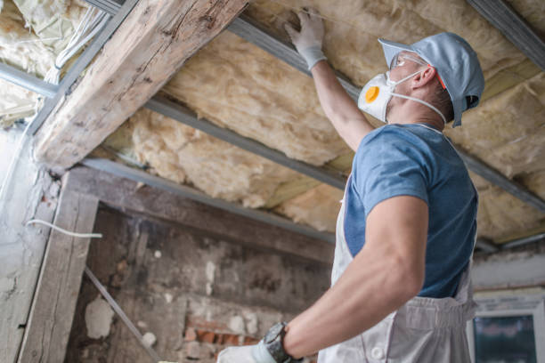 Best Insulation Contractors for Homes  in Carterville, MO