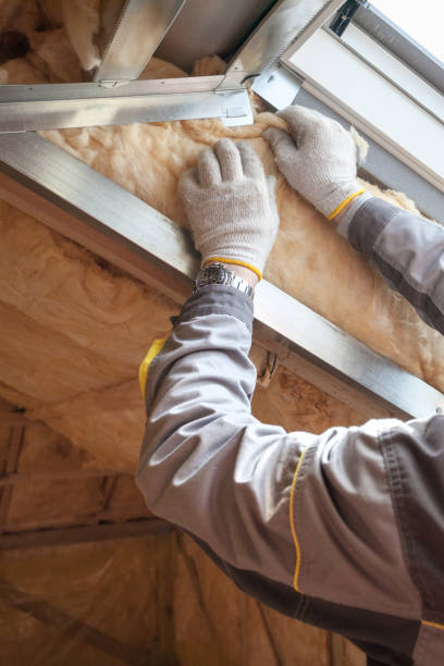 Best Residential Insulation Services  in Carterville, MO