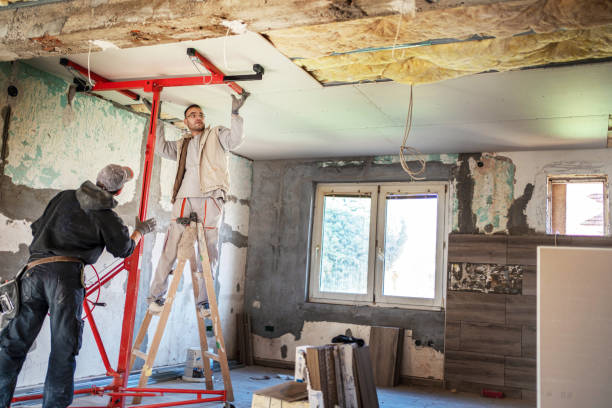 Best Spray Foam Insulation  in Carterville, MO