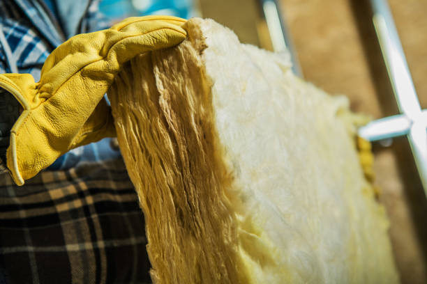 Best Crawl Space Insulation  in Carterville, MO