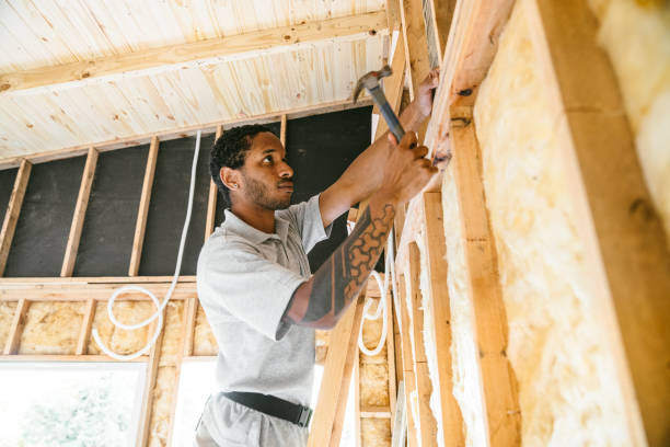 Best Local Insulation Services  in Carterville, MO