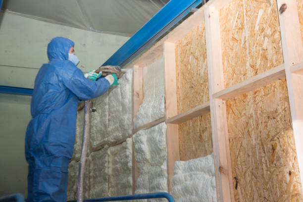 Professional Insulation Contractor in Carterville, MO
