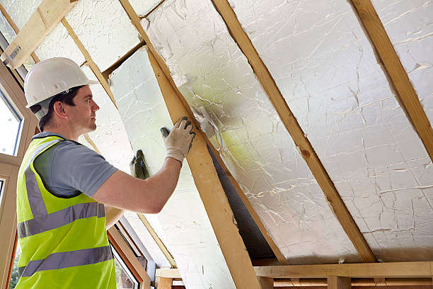 Insulation Repair Services in Carterville, MO