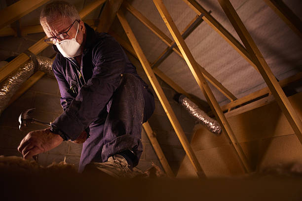 Best Insulation Inspection Services  in Carterville, MO