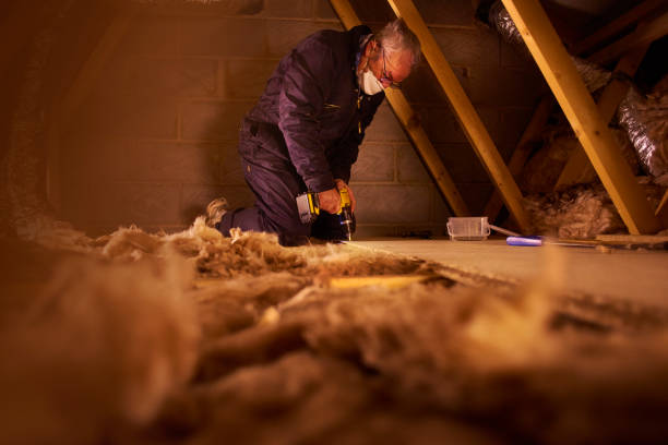 Best Insulation Inspection Services  in Carterville, MO