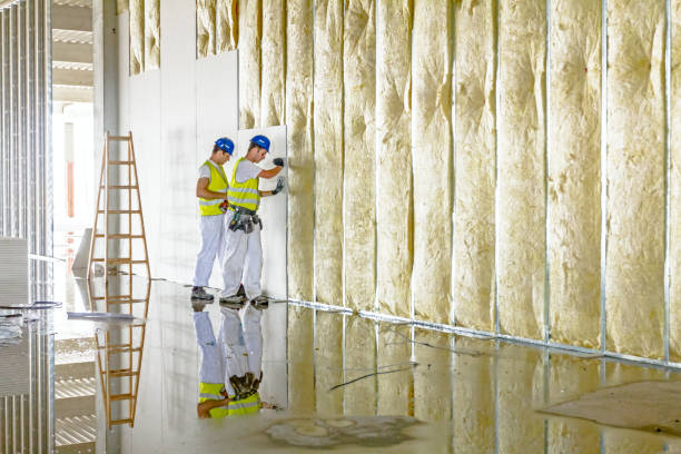 Insulation for New Construction in Carterville, MO
